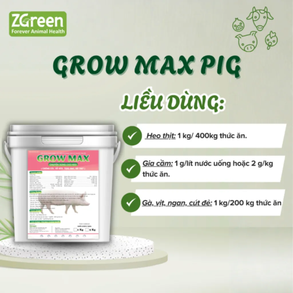 Liều dùng Grow Max Pig Liều dùng Grow Max Pig của ZGreen cho heo thịt